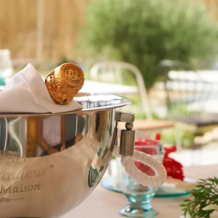 Aelia Wellness Retreat