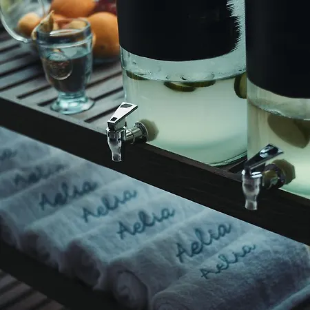 Aelia Wellness Retreat Hotel