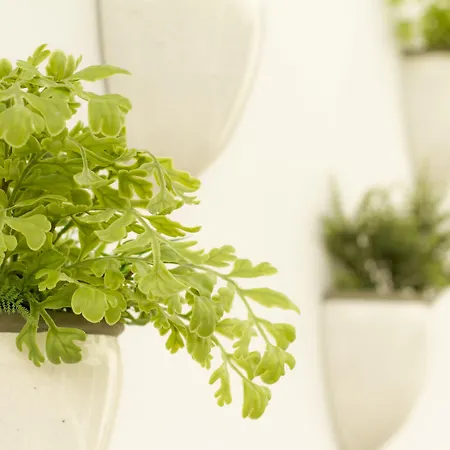 酒店 Aelia Wellness Retreat 4*