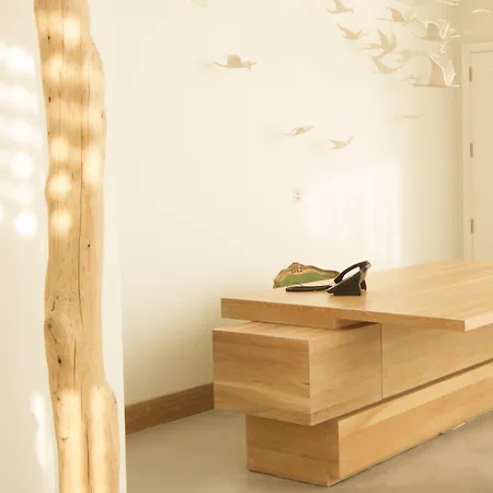 Aelia Wellness Retreat מלון ניקוסיה