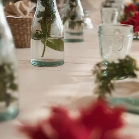 Aelia Wellness Retreat 酒店 4*