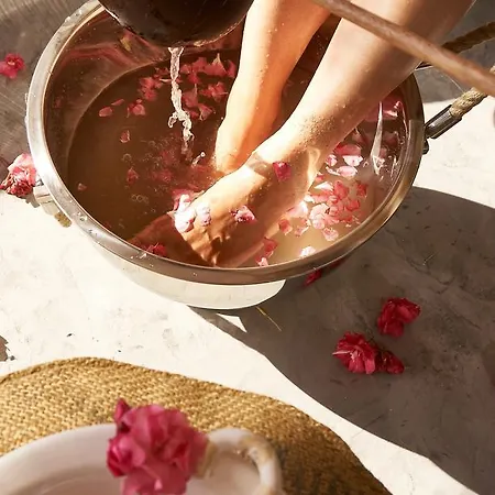 Aelia Wellness Retreat מלון 4*