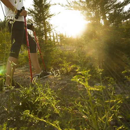 Aelia Wellness Retreat 4*