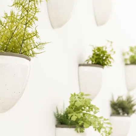 Aelia Wellness Retreat 4*