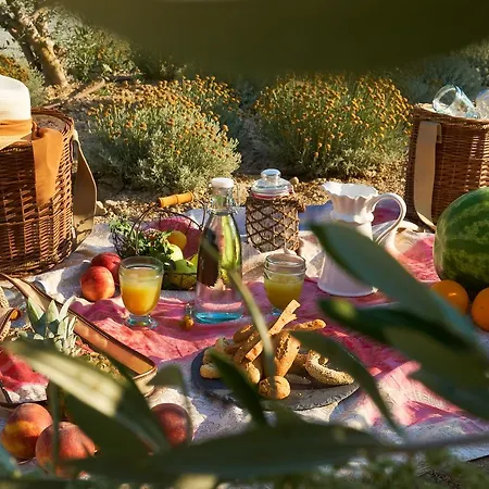 Aelia Wellness Retreat