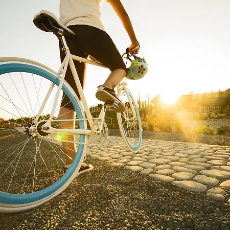 Aelia Wellness Retreat מלון