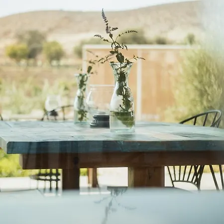 Aelia Wellness Retreat