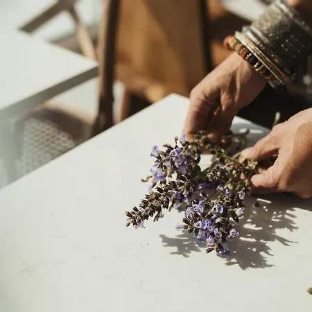 Aelia Wellness Retreat מלון 4*