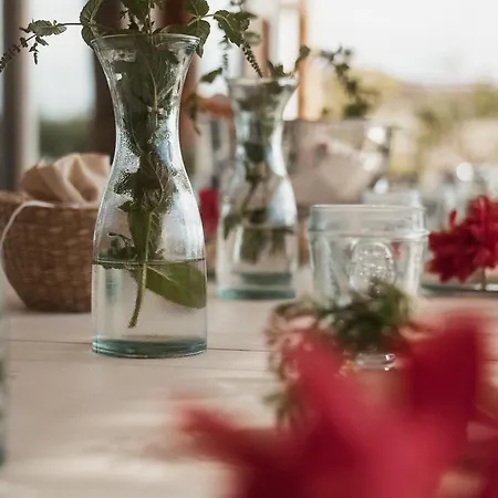 Aelia Wellness Retreat מלון ניקוסיה