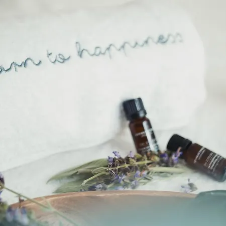 Aelia Wellness Retreat 酒店 4*