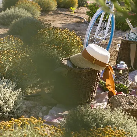 Aelia Wellness Retreat מלון ניקוסיה