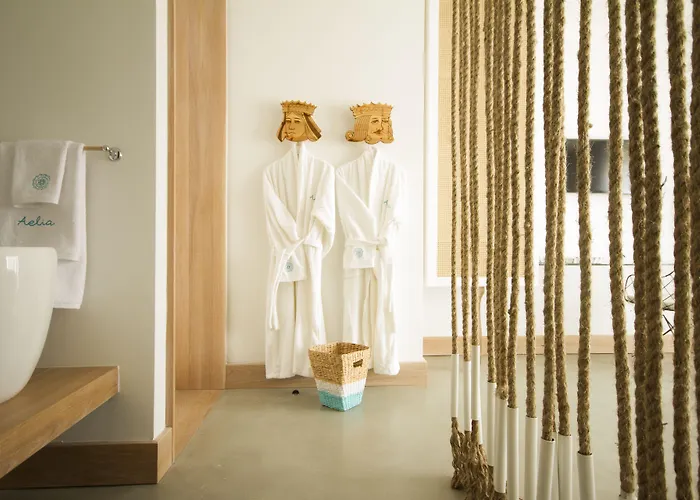 ホテル Aelia Wellness Retreat 4*