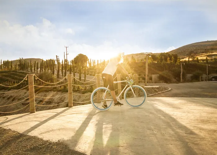 Aelia Wellness Retreat ホテル 4*