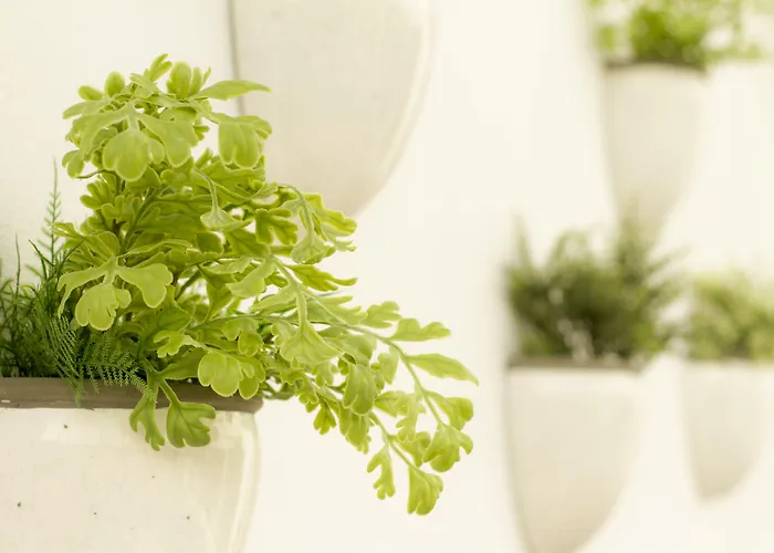 Hotel Aelia Wellness Retreat 4*