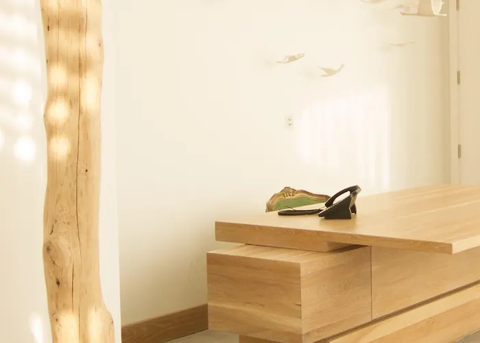 Aelia Wellness Retreat ホテル ニコシア