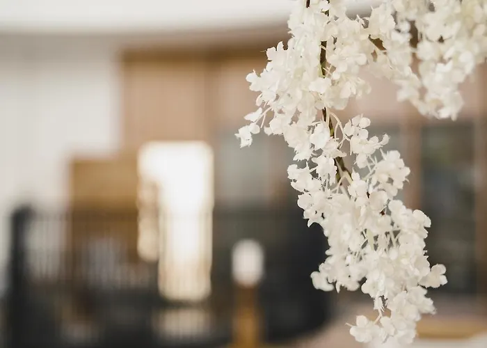 Aelia Wellness Retreat ホテル 4*