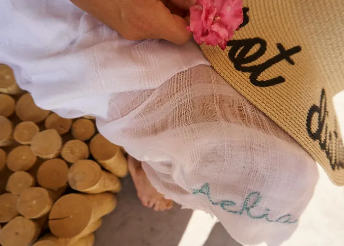 Aelia Wellness Retreat ホテル 4*