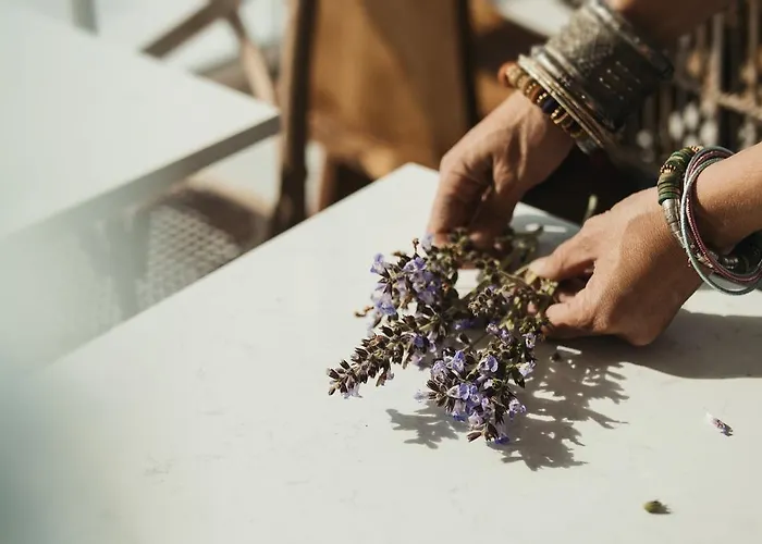 Aelia Wellness Retreat ホテル 4*