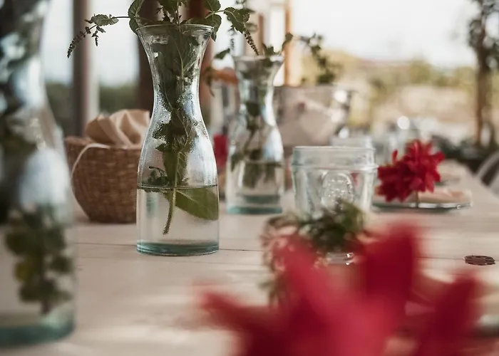 Aelia Wellness Retreat ホテル ニコシア