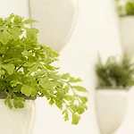 Szálloda Aelia Wellness Retreat 4*