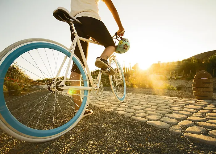 Aelia Wellness Retreat Ξενοδοχείο