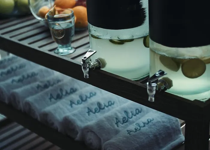 Aelia Wellness Retreat Ξενοδοχείο