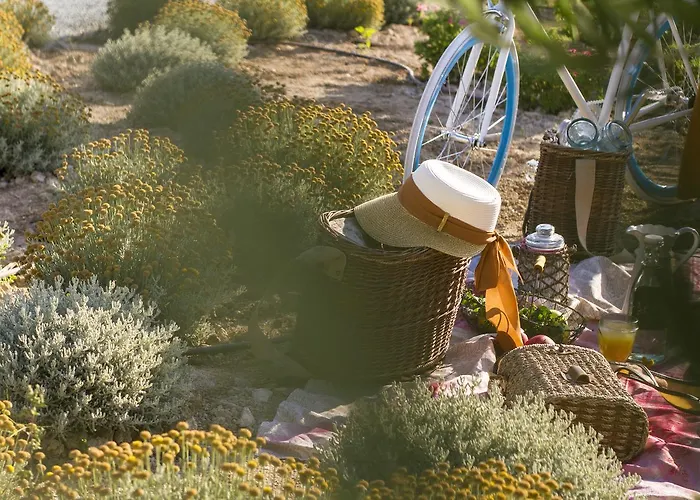 Aelia Wellness Retreat Ξενοδοχείο Λευκωσία